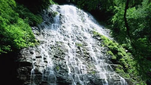 高效高标准全自动